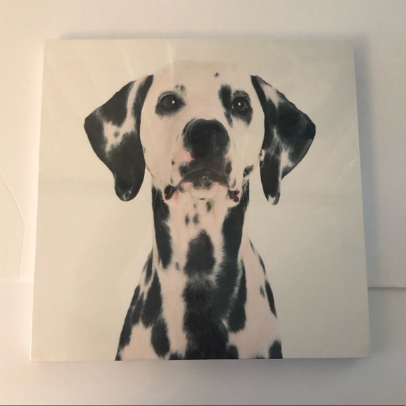 12” x 12” Dog Canvas Art Print Lot of 2 - Picture 6 of 10